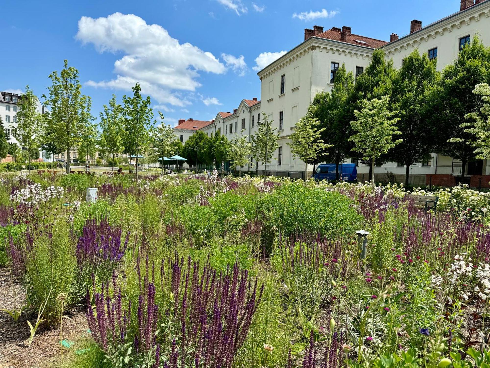 Gio Apartments, Luxury, Old Town Cracow Cracovia Exterior foto
